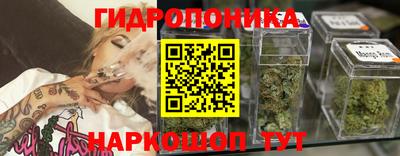 дмт Будённовск
